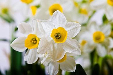 《华纳大乱斗》确认测试版多项移除功能将尽快回归